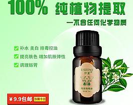 淘寶茶樹促銷海報圖片
