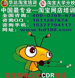 淘寶螞蟻東莞網店培訓圖片