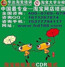 虎門網店培訓圖片