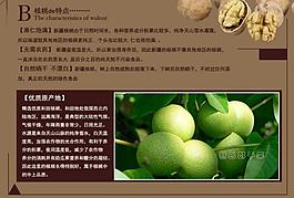 淘寶詳情圖圖片