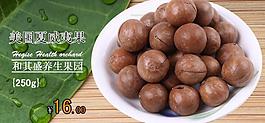 夏威夷果圖片