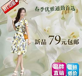 淘寶直通車圖片