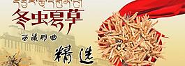 冬蟲夏草圖片