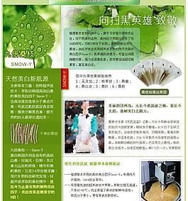 九倍桑枝分層圖片