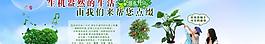 花卉海报 淘宝海报图片
