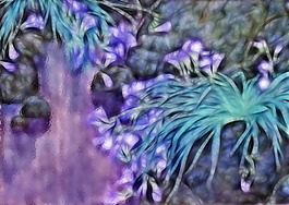 花鳥國畫