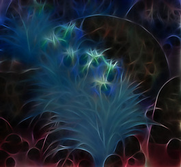 花紋