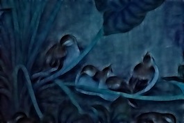 花鳥裝飾畫