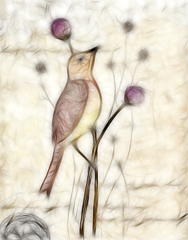 花鳥畫