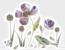花鳥畫