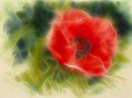 花卉
