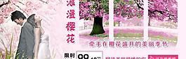 diy數字油畫圖片