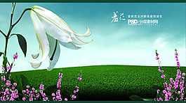 百合花背景圖片 清新自然風(fēng)景素材