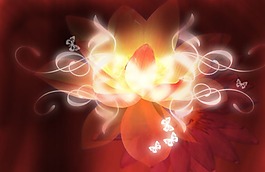 蓮花  光芒  效果