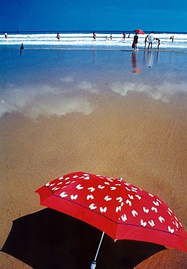 夏日海灘邊的紅傘