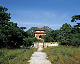 古塔的小路圖片 大幅自然風(fēng)景畫(huà)