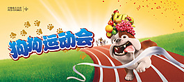 狗 運(yùn)動(dòng)會(huì)