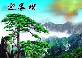 迎客松
