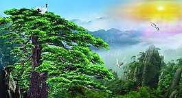 松鹤延年