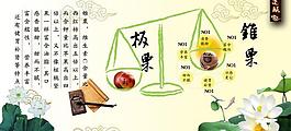 锥栗图片