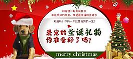 圣誕節(jié)寵物淘寶頁圖片