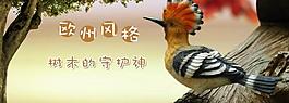 淘寶啄木鳥活動廣告圖片