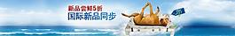 夏季海灘床寵物圖片