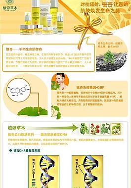 银杏系列图片