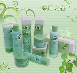 桑枝促銷海報圖片