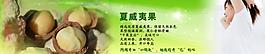 夏威夷果 首頁大海報圖片