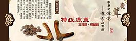 鹿茸廣告圖圖片