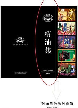 精油畫(huà)冊(cè)封面圖片