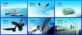 企業(yè)文化素材下載