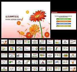 鮮花ppt模板圖片
