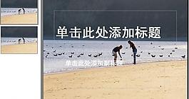 ppt普通模板图片