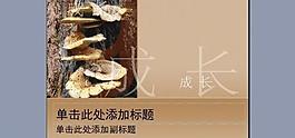 ppt普通模版圖片