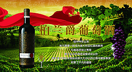 柏蘭爵葡萄酒