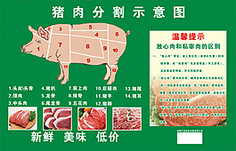 豬肉分解圖