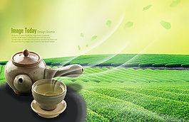 茶園和托盤內(nèi)的茶具