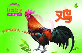 大公雞圖片