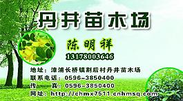 苗木名片圖片