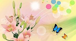 百合花圖片