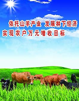 牛羊圖片
