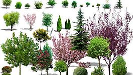 效果圖后期植物psd分層素材圖片