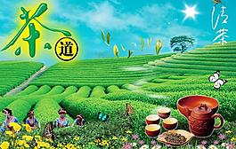茶園圖片