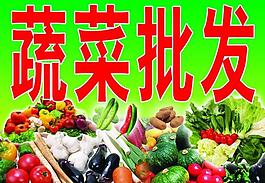蔬菜大全圖片