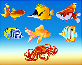 海底生物 螃蟹 魚 蝦 金魚 帶魚 鯉魚