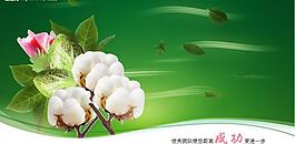 棉花图片