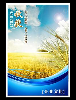 企業(yè)文化圖片