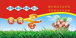 柴雞蛋    雞蛋  營養(yǎng)美味鮮嫩可口
